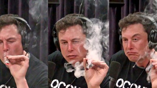elon tobacco Elon Musk potcast spurs reefer madness