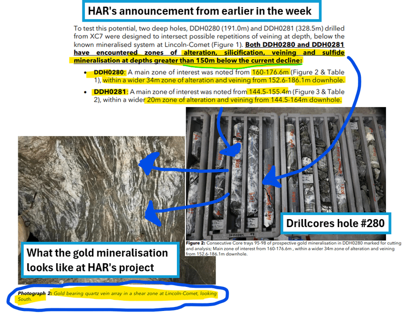 Next Investors Image