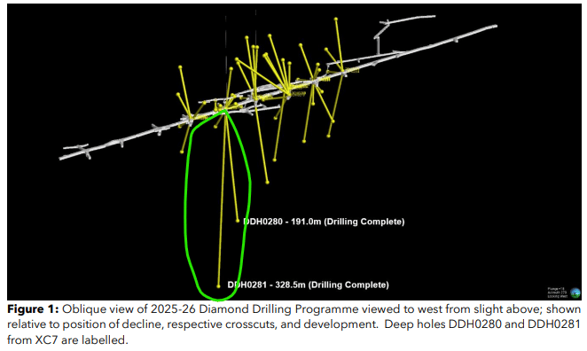 Next Investors Image