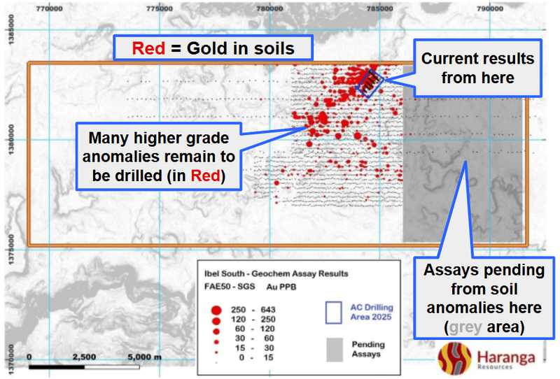 Next Investors Image