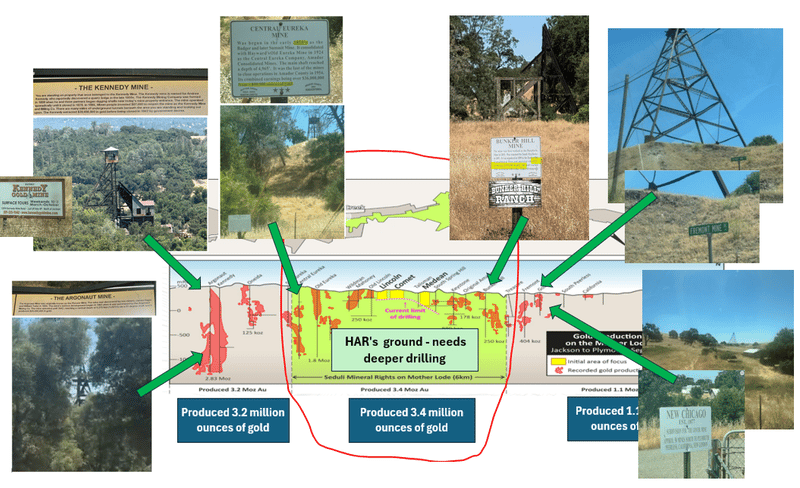 Next Investors Image