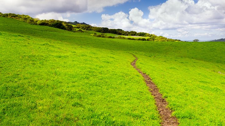 hill sun path skyward blue sky