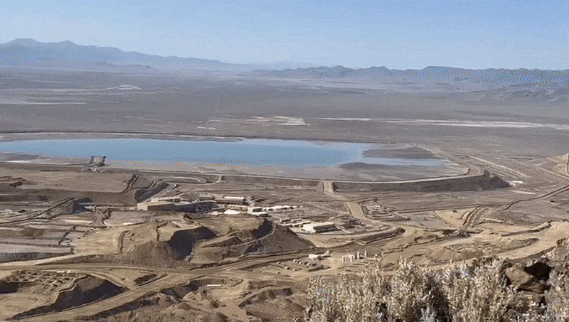 Next Investors Image