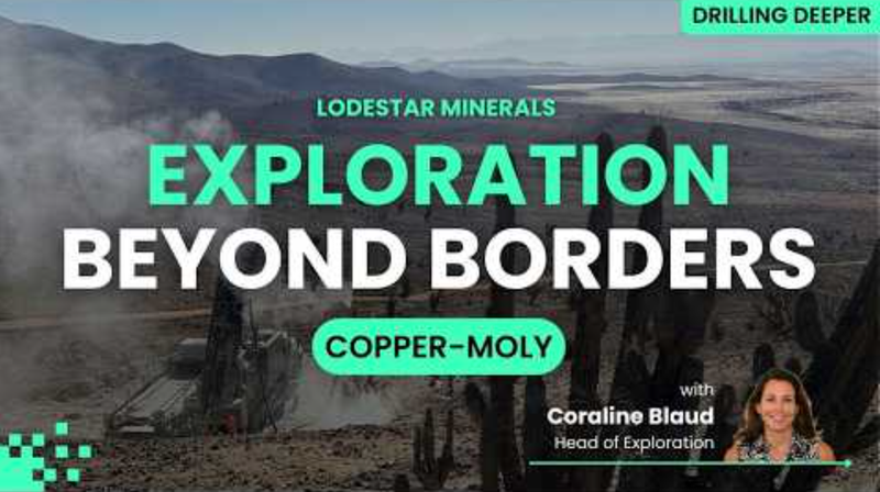 Next Investors Image