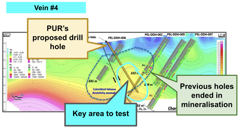 Next Investors Image