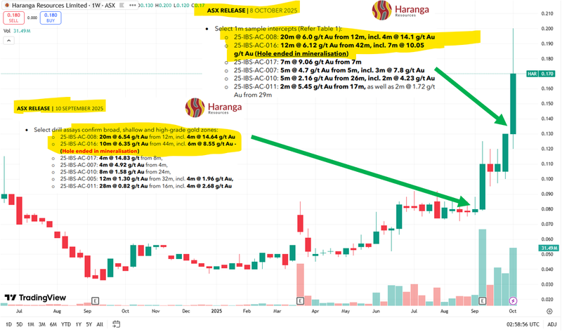 Next Investors Image