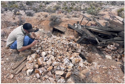 Next Investors Image