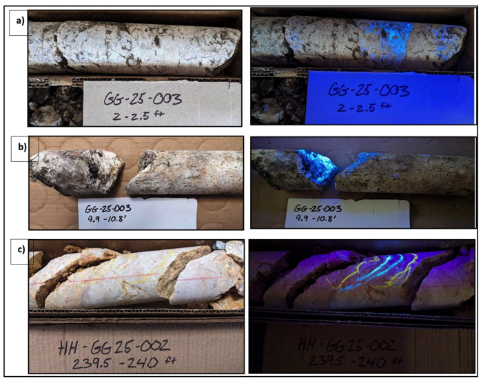 Next Investors Image