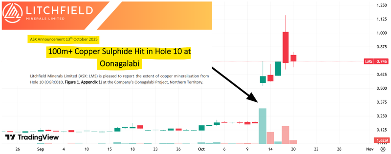 Next Investors Image
