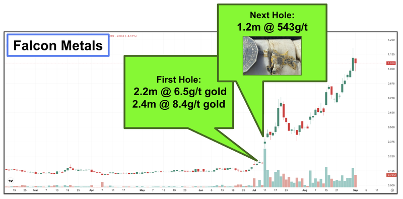 Next Investors Image