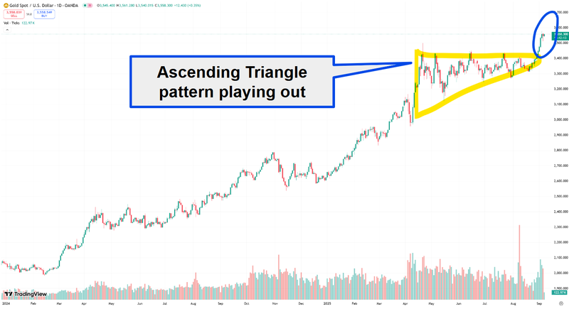 Next Investors Image