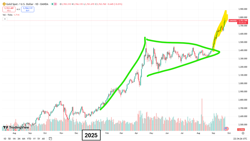 Next Investors Image