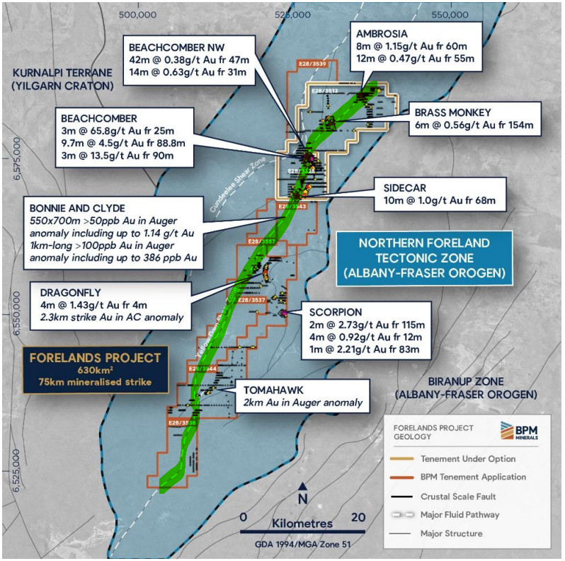 Next Investors Image