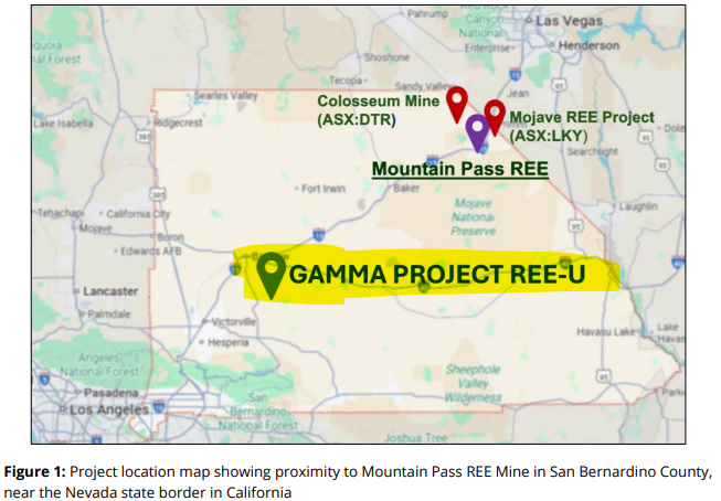 Next Investors Image