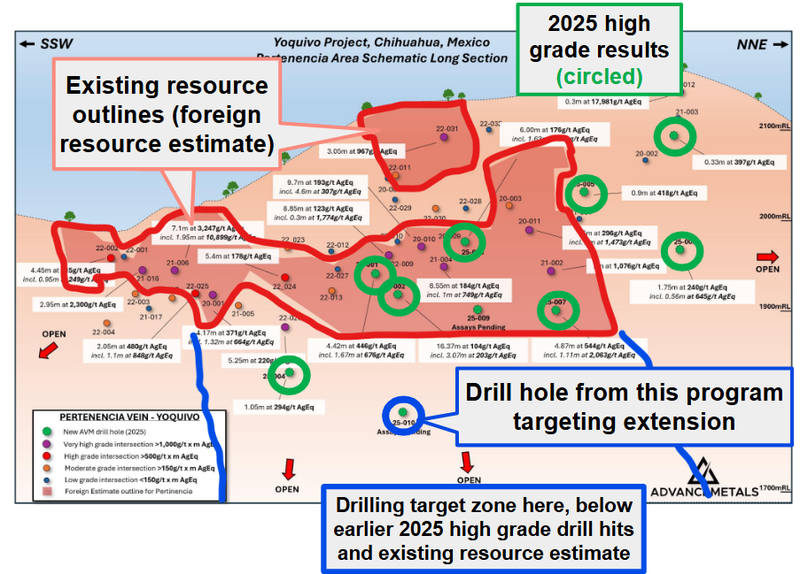 Next Investors Image