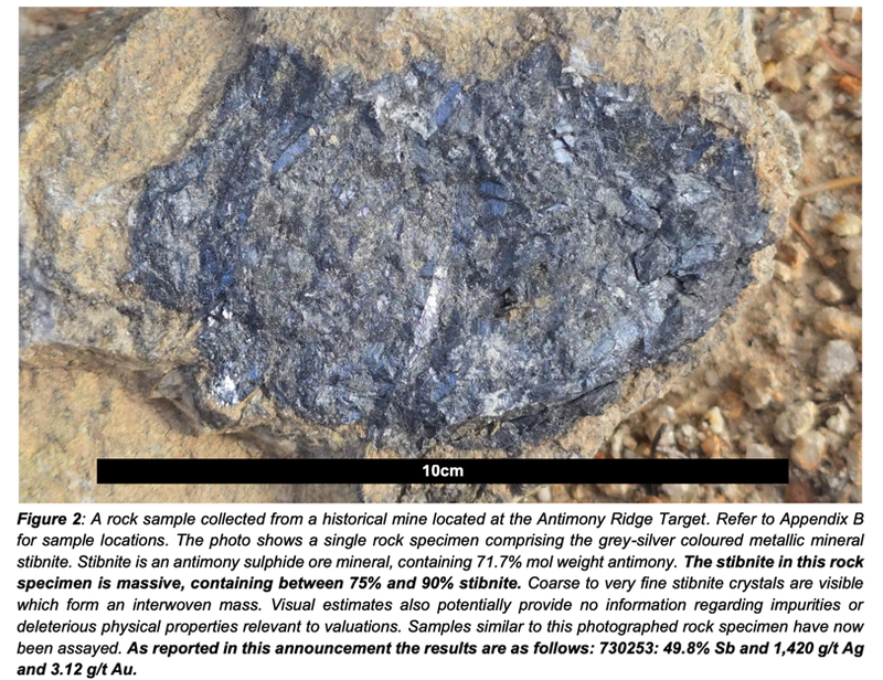 Next Investors Image