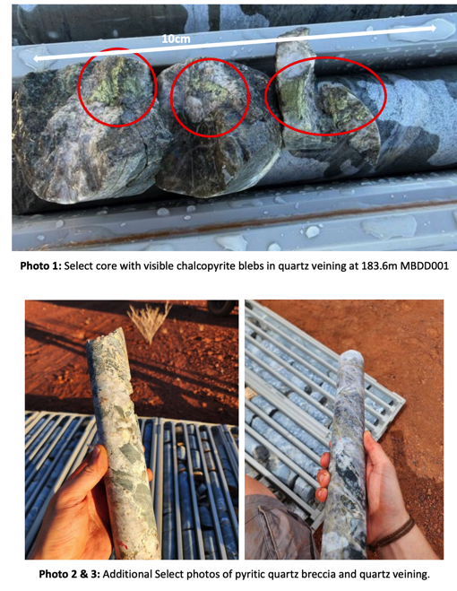 Next Investors Image