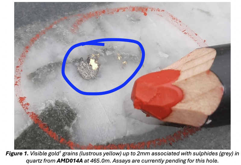 Next Investors Image