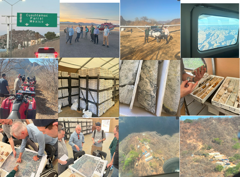 Next Investors Image