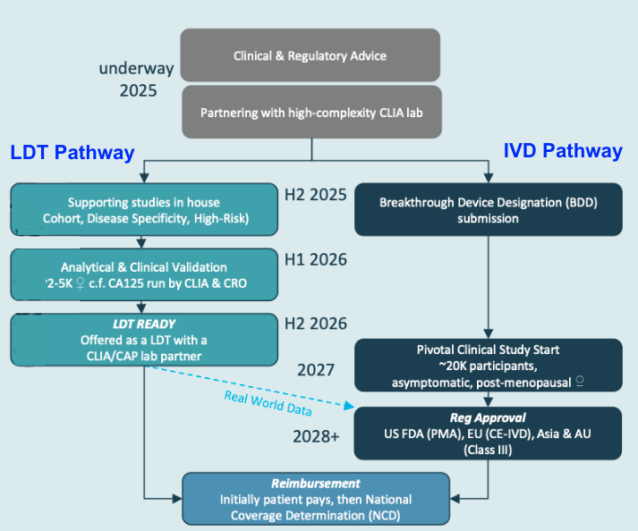 Next Investors Image