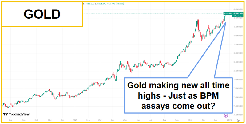 Next Investors Image