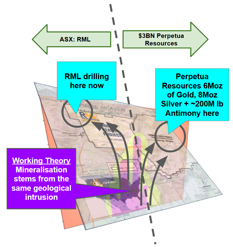 Next Investors Image