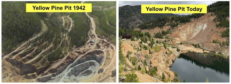 Next Investors Image