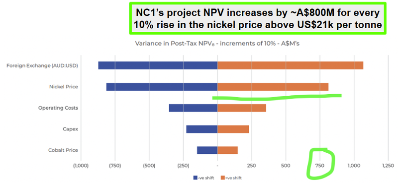 Next Investors Image