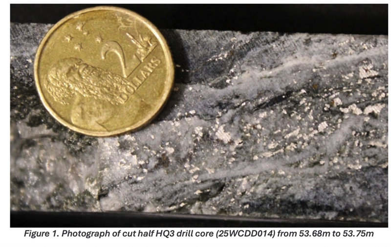 Next Investors Image