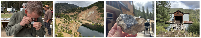 Next Investors Image