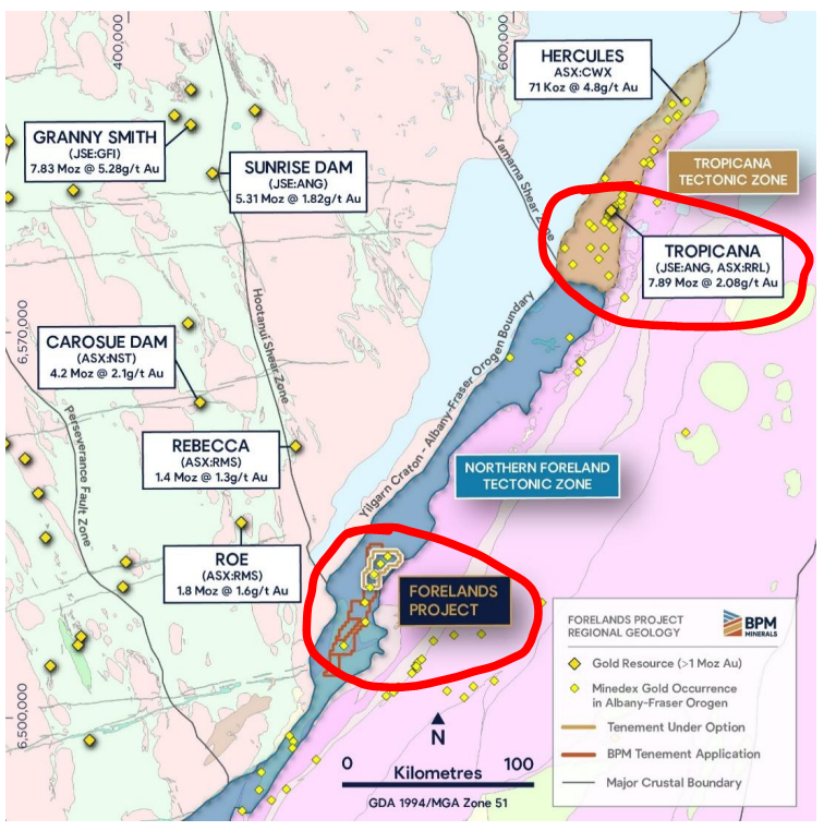 Next Investors Image