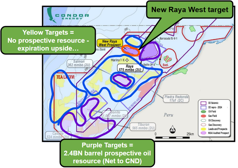Next Investors Image