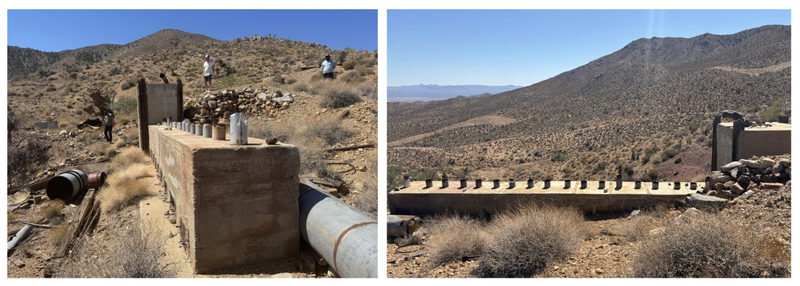 Next Investors Image