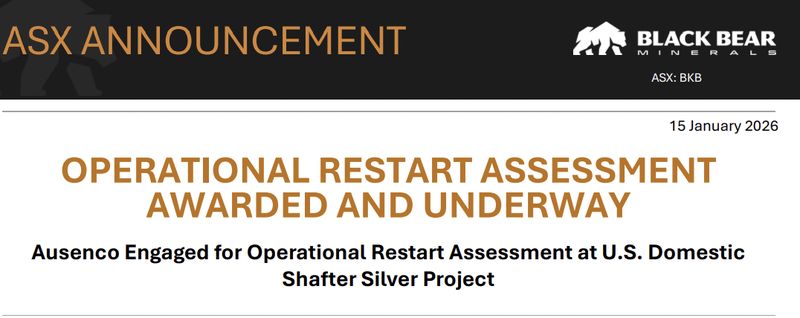 Next Investors Image