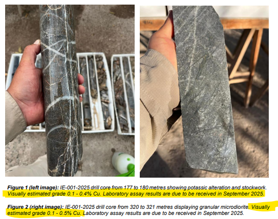 Next Investors Image