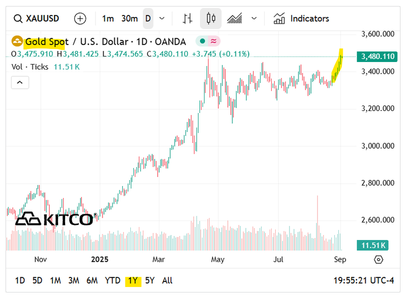 Next Investors Image