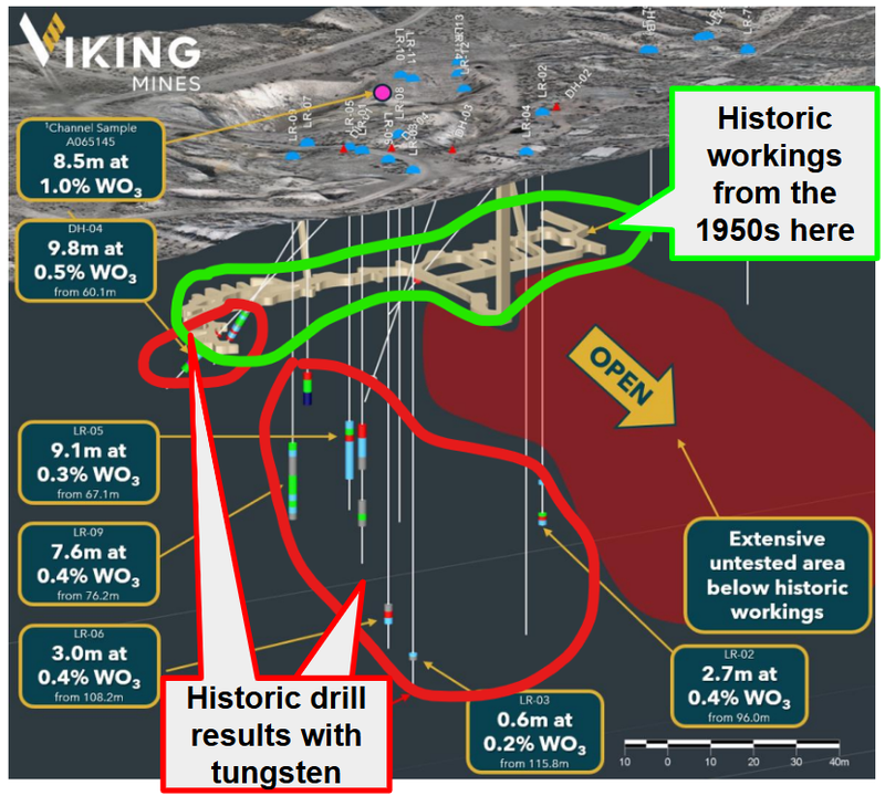 Next Investors Image