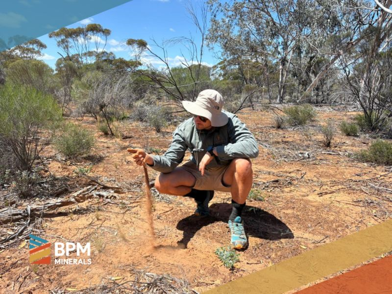 Next Investors Image