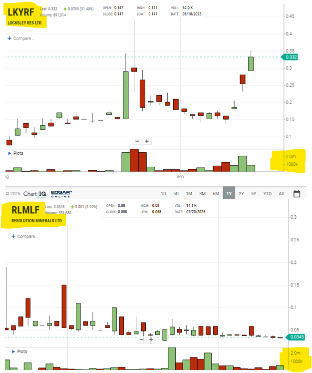 Next Investors Image