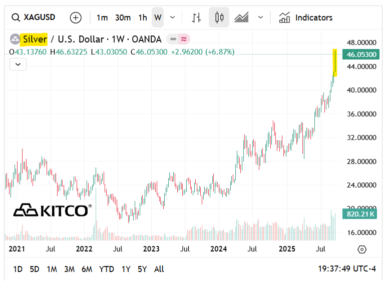 Next Investors Image