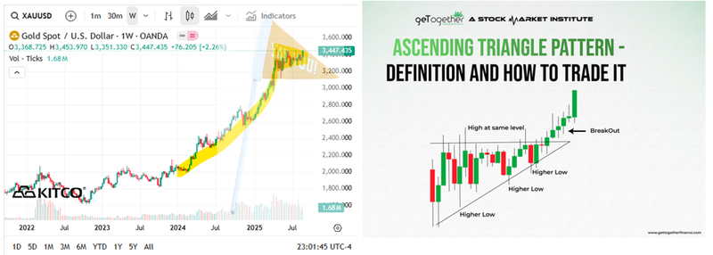 Next Investors Image
