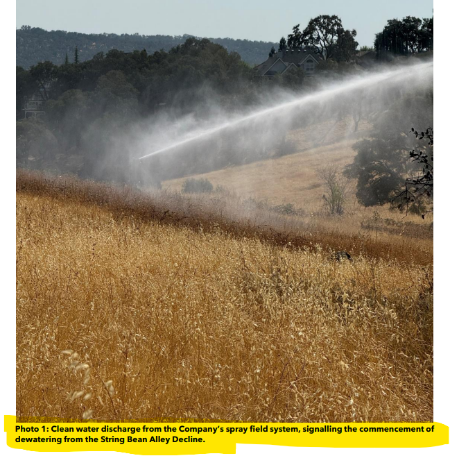 Next Investors Image