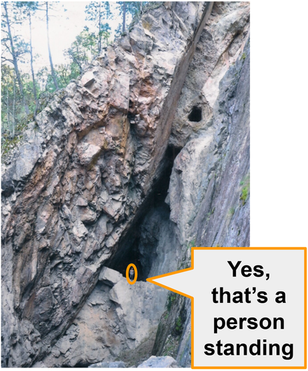 Next Investors Image