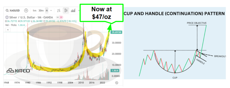 Next Investors Image