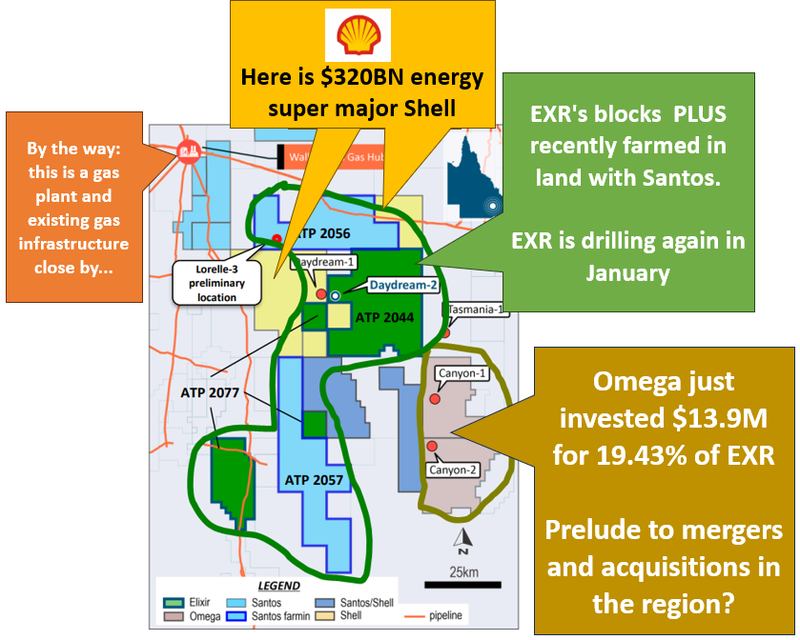 Next Investors Image