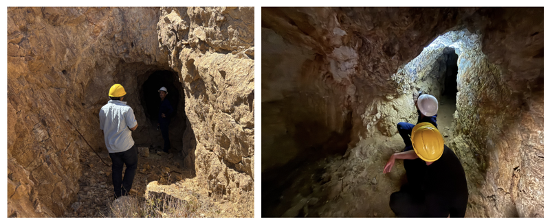 Next Investors Image