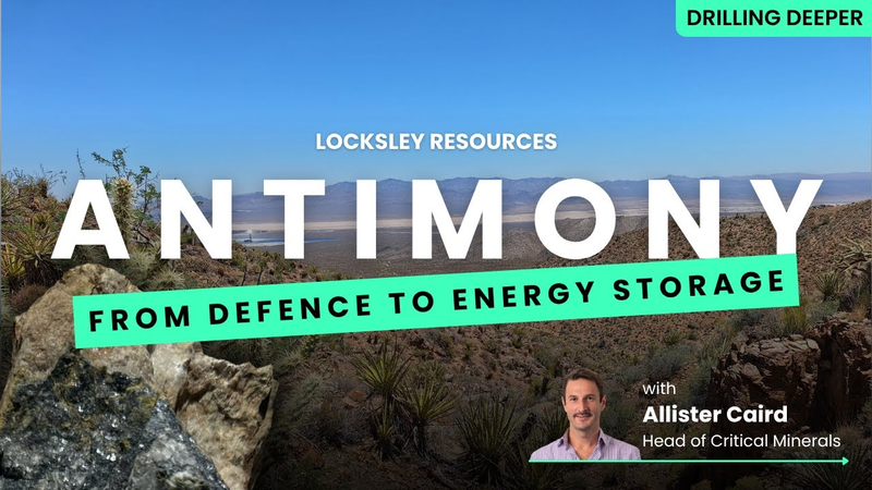 Next Investors Image