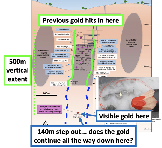 Next Investors Image
