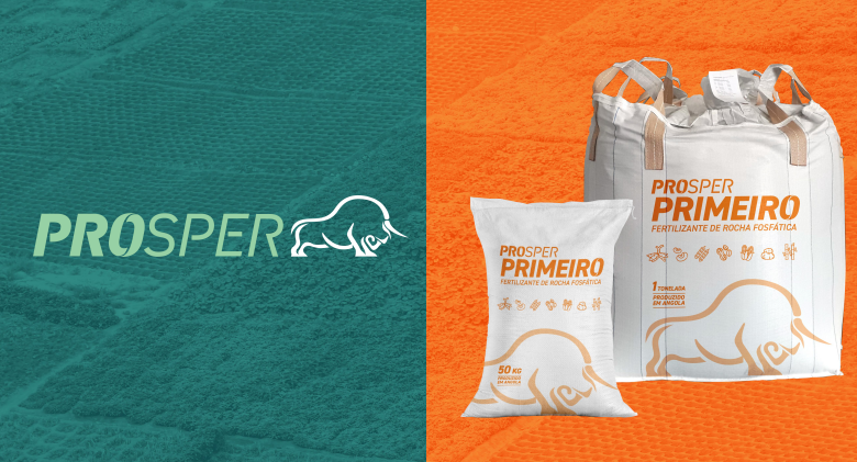 Next Investors Image