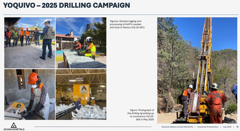 Next Investors Image